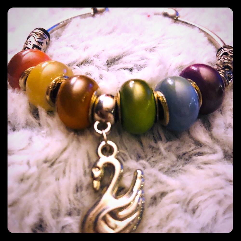 Multi-colored Bracelet w/ Charm
